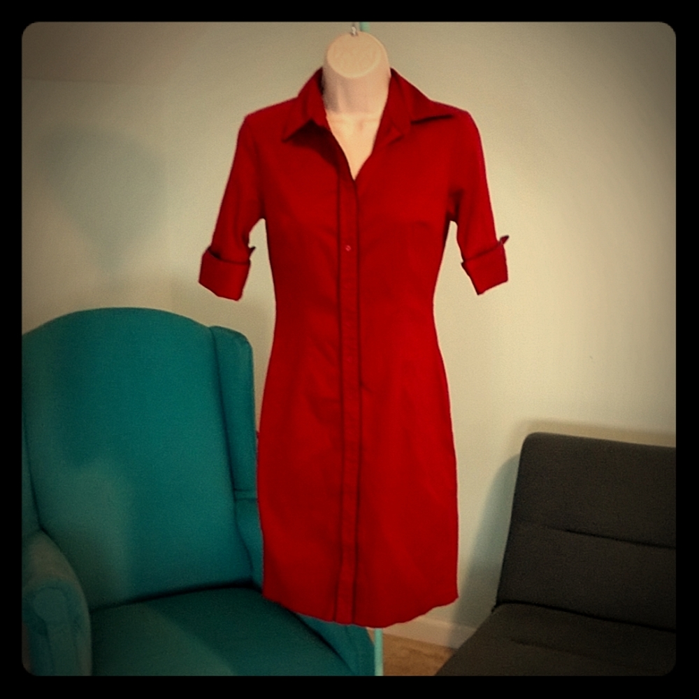 Express Shirt dress